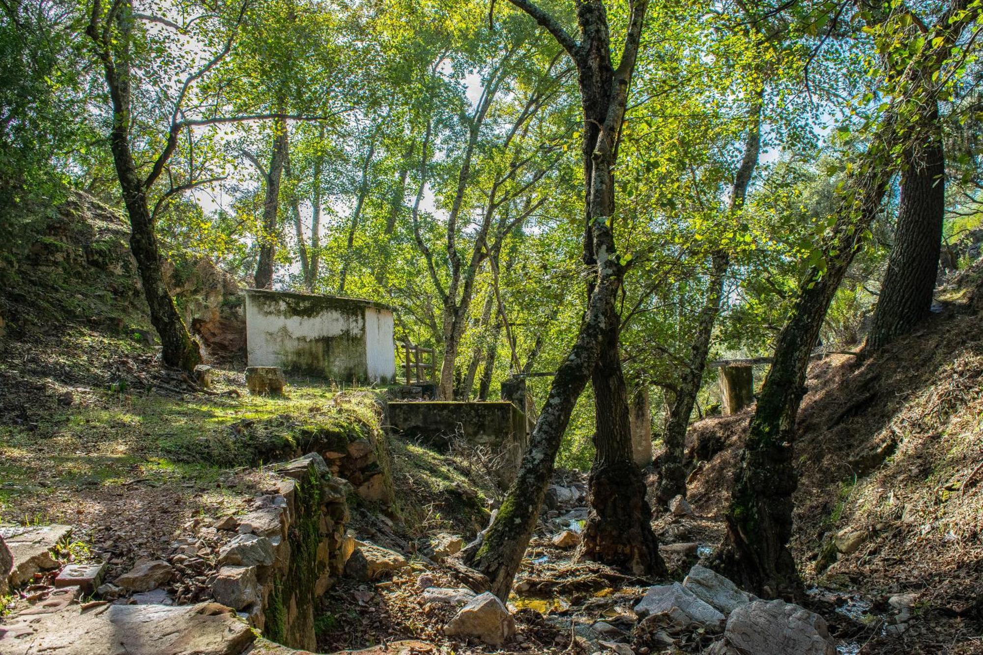 Villamaria, Alma De Despenaperros Miranda del Rey Exteriör bild